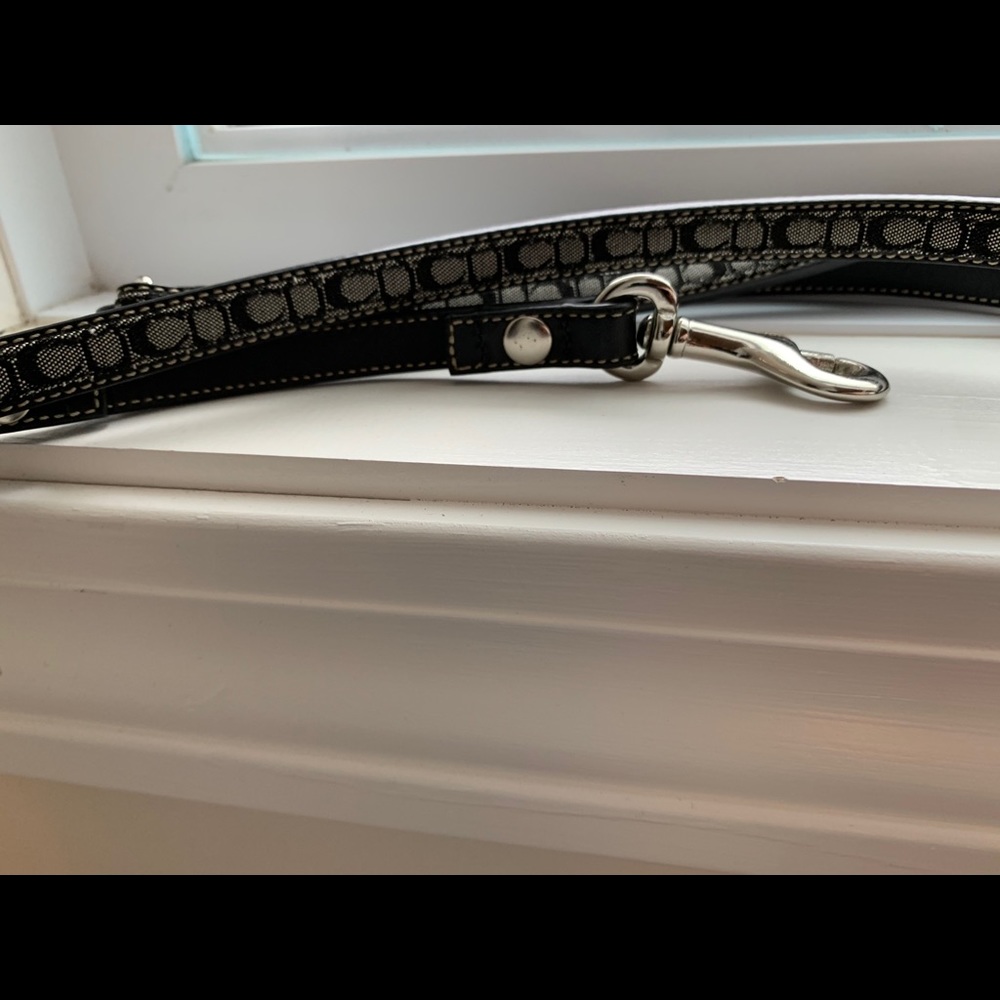 Coach dog leash